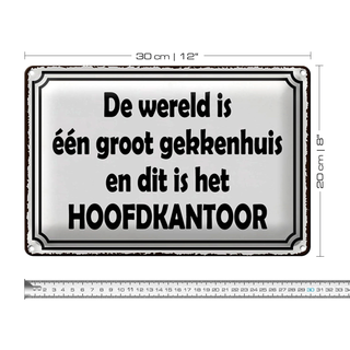 Blechschild Spruch 30x20cm De wereld is één groot gekkenhuis