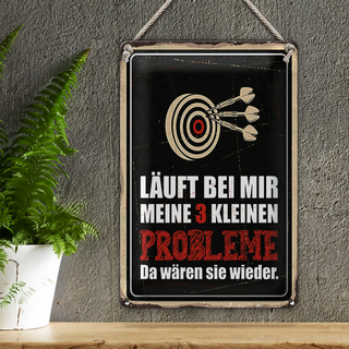 Blechschild Spruch 20x30cm Dart Meine 3 kleinen Probleme Da wären sie