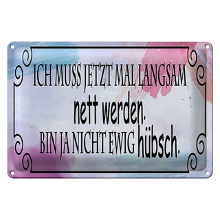 Blechschild Spruch 30x20cm ich muss mal langsam nett werden