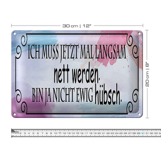 Blechschild Spruch 30x20cm ich muss mal langsam nett werden