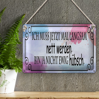 Blechschild Spruch 30x20cm ich muss mal langsam nett werden