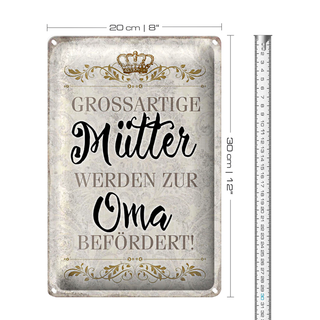 Blechschild Spruch 20x30cm grossartig Mütter werden zur Oma