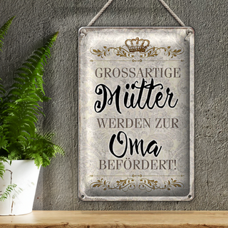 Blechschild Spruch 20x30cm grossartig Mütter werden zur Oma