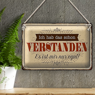 Blechschild Spruch 30x20cm hab verstanden ist mir nur egal
