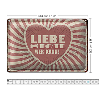 Blechschild Retro 30x20cm liebe sich wer kann