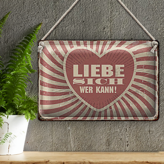 Blechschild Retro 30x20cm liebe sich wer kann