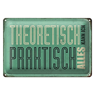 Blechschild Retro 30x20cm theoretisch praktisch kann alles