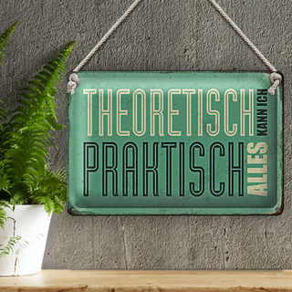 Blechschild Retro 30x20cm theoretisch praktisch kann alles