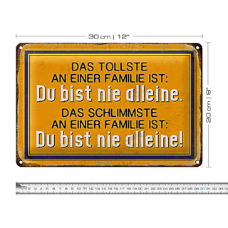 Blechschild Spruch 30x20cm das tollste an einer Familie ist