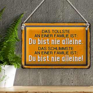 Blechschild Spruch 30x20cm das tollste an einer Familie ist