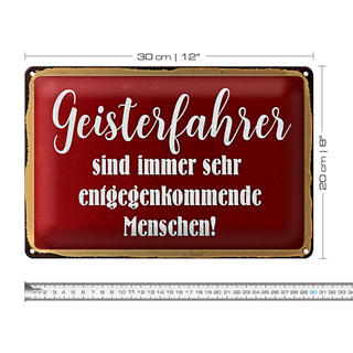 Blechschild Spruch 30x20cm Geisterfahrer sind Menschen