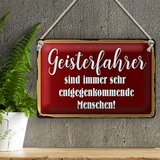 Blechschild Spruch 30x20cm Geisterfahrer sind Menschen