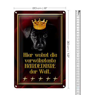 Blechschild Spruch 20x30cm hier wohnt Hundedame der Welt