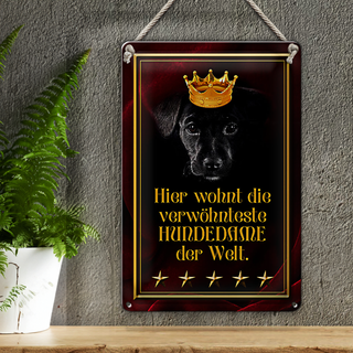 Blechschild Spruch 20x30cm hier wohnt Hundedame der Welt