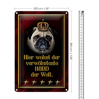 Blechschild Spruch 20x30cm hier wohnt Hund der Welt