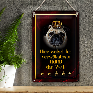 Blechschild Spruch 20x30cm hier wohnt Hund der Welt