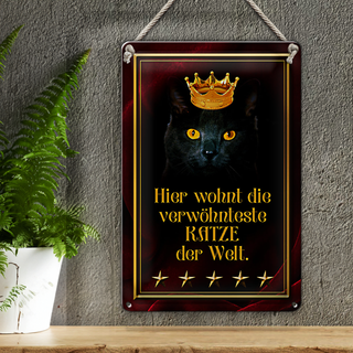 Blechschild Spruch 20x30cm hier wohnt Katze der Welt