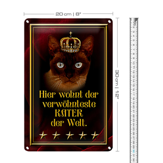 Blechschild Spruch 20x30cm hier wohnt Kater der Welt