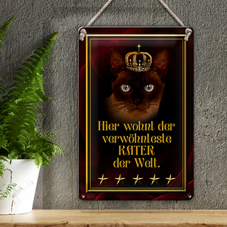 Blechschild Spruch 20x30cm hier wohnt Kater der Welt
