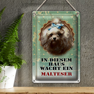 Blechschild Hund 20x30cm in diesem Haus wacht Malteser