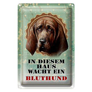 Blechschild Hund 20x30cm in diesem Haus wacht Bluthund