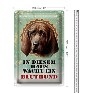 Blechschild Hund 20x30cm in diesem Haus wacht Bluthund