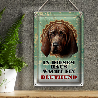 Blechschild Hund 20x30cm in diesem Haus wacht Bluthund