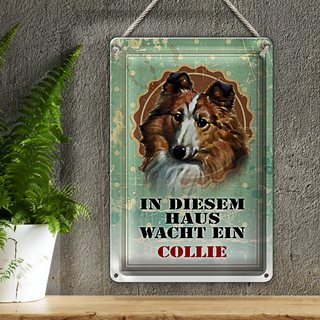 Blechschild Hund 20x30cm in diesem Haus wacht ein Collie