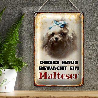 Blechschild Hund 20x30cm dieses Haus bewacht ein Malteser