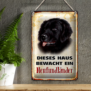 Blechschild Hund 20x30cm dieses Haus bewacht Neufundländer