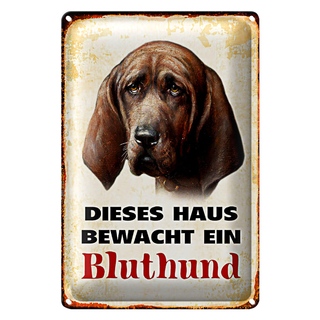 Blechschild Hund 20x30cm dieses Haus bewacht ein Bluthund