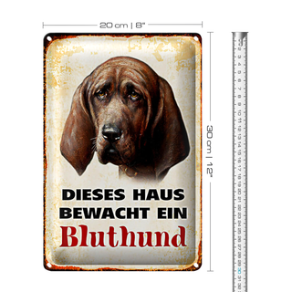 Blechschild Hund 20x30cm dieses Haus bewacht ein Bluthund