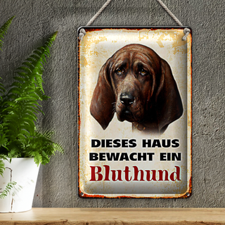 Blechschild Hund 20x30cm dieses Haus bewacht ein Bluthund