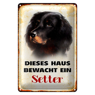 Blechschild Hund 20x30cm dieses Haus bewacht ein Setter
