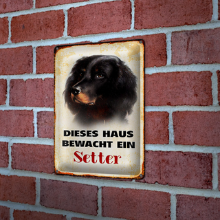 Blechschild Hund 20x30cm dieses Haus bewacht ein Setter