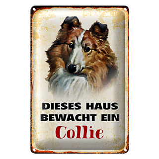 Blechschild Hund 20x30cm dieses Haus bewacht ein Collie