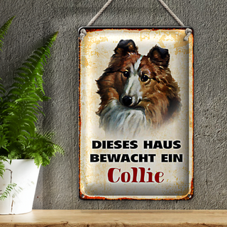 Blechschild Hund 20x30cm dieses Haus bewacht ein Collie
