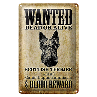 Blechschild Hund 20x30cm wanted Scottish Terrier