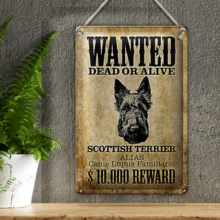 Blechschild Hund 20x30cm wanted Scottish Terrier