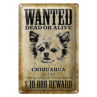 Blechschild Hund 20x30cm wanted Chihuahua Alias