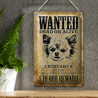 Blechschild Hund 20x30cm wanted Chihuahua Alias