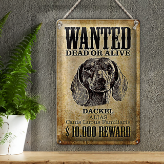 Blechschild Hund 20x30cm wanted dead Dackel Alias