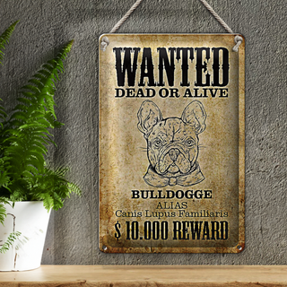 Blechschild Hund 20x30cm wanted dead Bulldogge Alias