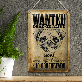 Blechschild Hund 20x30cm wanted dead Mops Alias