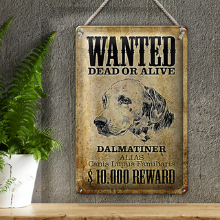 Blechschild Hund 20x30cm wanted dead Dalmatiner