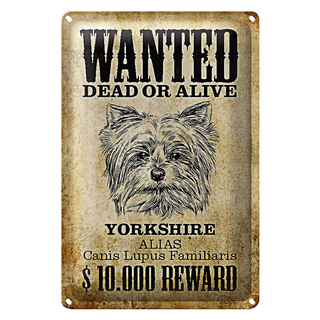 Blechschild Hund 20x30cm wanted dead Yorkshire