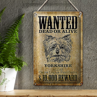 Blechschild Hund 20x30cm wanted dead Yorkshire