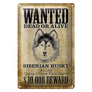 Blechschild Hund 20x30cm wanted Siberian Husky