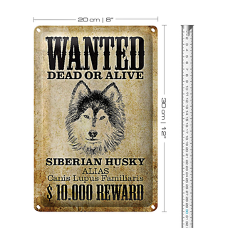 Blechschild Hund 20x30cm wanted Siberian Husky