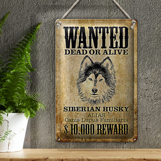 Blechschild Hund 20x30cm wanted Siberian Husky